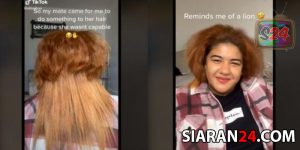 Seorang Wanita Yang Memiliki Rambut Mirip Singa